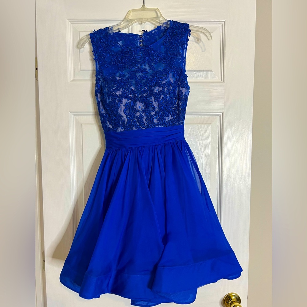 Royal Blue Cocktail Dress with sheer flower detail, open back